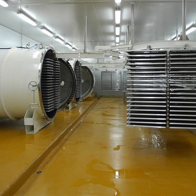 Macchina automatica multifunzionale della liofilizzazione 500kg