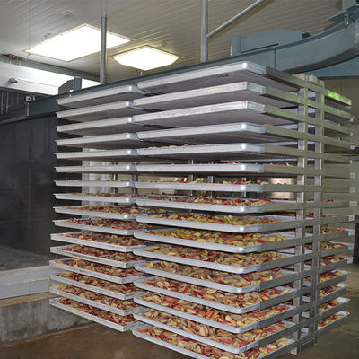 Macchina automatica multifunzionale della liofilizzazione 500kg
