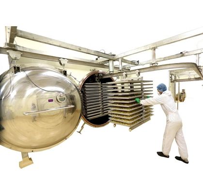 macchina della liofilizzazione 1000kg