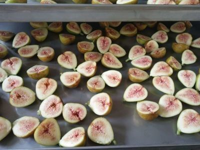 Fruit machine liofilizzato industriale dell'acciaio inossidabile di vuoto