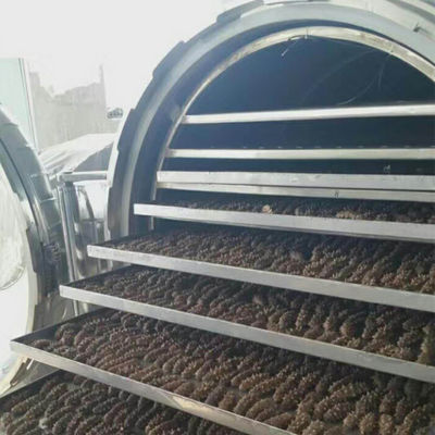 Fruit machine liofilizzato industriale dell'acciaio inossidabile di vuoto