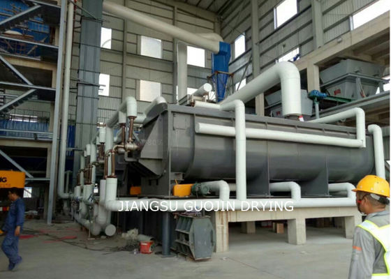 Essiccatore vuoto cuneiforme 10RPM della pagaia per fango