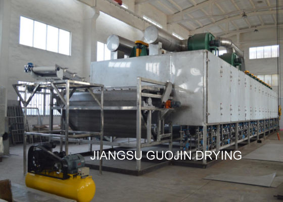 Passaggio di serie di MSCD singolo/multi trasportatore Mesh Belt Dryer di verdure della fase